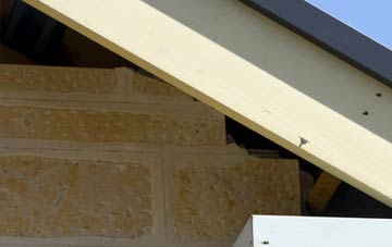 soffit repair Pickwick